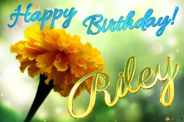 Riley Happy Birthday!