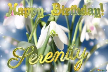 Happy Birthday! Serenity Spring Flowers