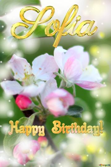 Sofia Happy Birthday! Macro Flower Apple Background