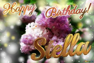 Stella Happy    Birthday! Light Lilac Background