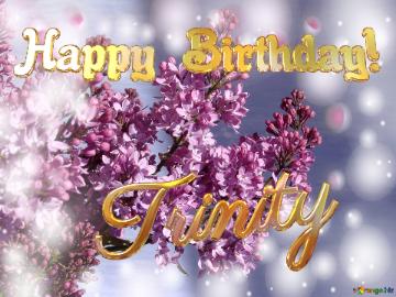 Trinity Happy Birthday! Background Lilac Flowers