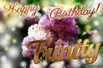 Trinity Happy    Birthday! Light Lilac Background