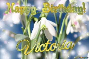 Happy Birthday! Victoria Spring Flowers