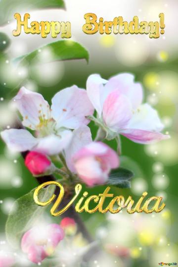 Victoria Happy Birthday! Macro Flower Apple Background