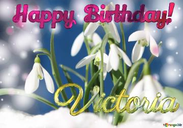 Happy Birthday! Victoria Spring Flower Cards