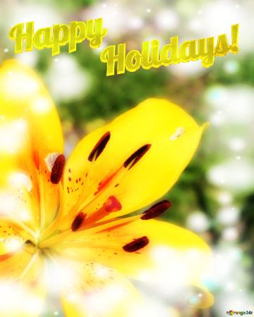 Happy Holidays! Yellow lily flower design template