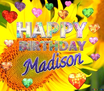 Madison Happy Birthday Flower Image for profile picture Beautiful flowers of sunflower.
