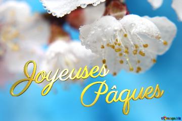 Joyeuses         Pâques  Spring wallpapers for desktop