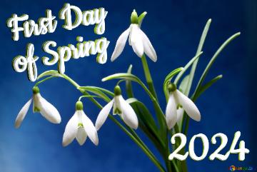 First Day of Spring 2024 Floral background