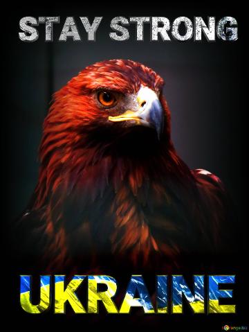 STAY STRONG UKRAINE Plakat with Eagle