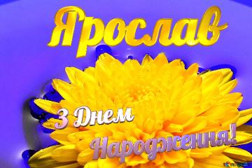 Ярослав З Днем  Народження! Ukrainian Flower