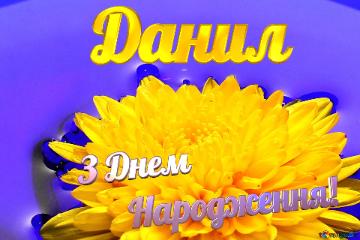Данил З Днем  Народження! Ukrainian Flower