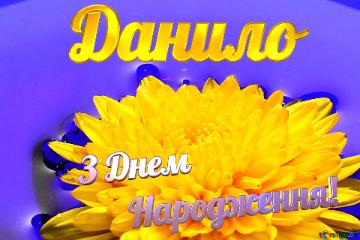 Данило З Днем  Народження! Ukrainian Flower