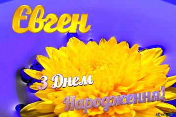 ЄвгенЗ Днем  Народження! Ukrainian Flower