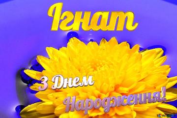 Ігнат З Днем  Народження! Ukrainian Flower