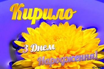 Кирило З Днем  Народження! Ukrainian Flower
