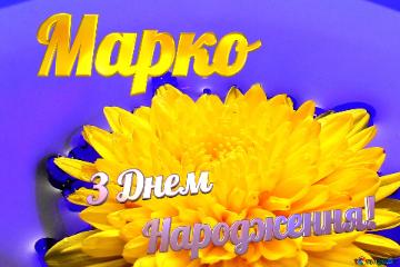 Марко З Днем  Народження! Ukrainian Flower