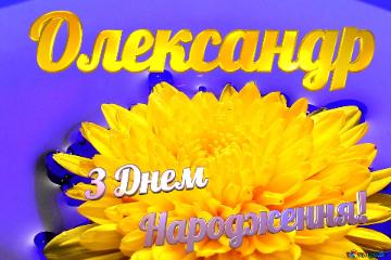 Олександр З Днем  Народження! Ukrainian Flower