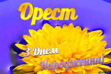 Орест З Днем  Народження! Ukrainian Flower