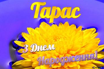 Тарас З Днем  Народження! Ukrainian Flower