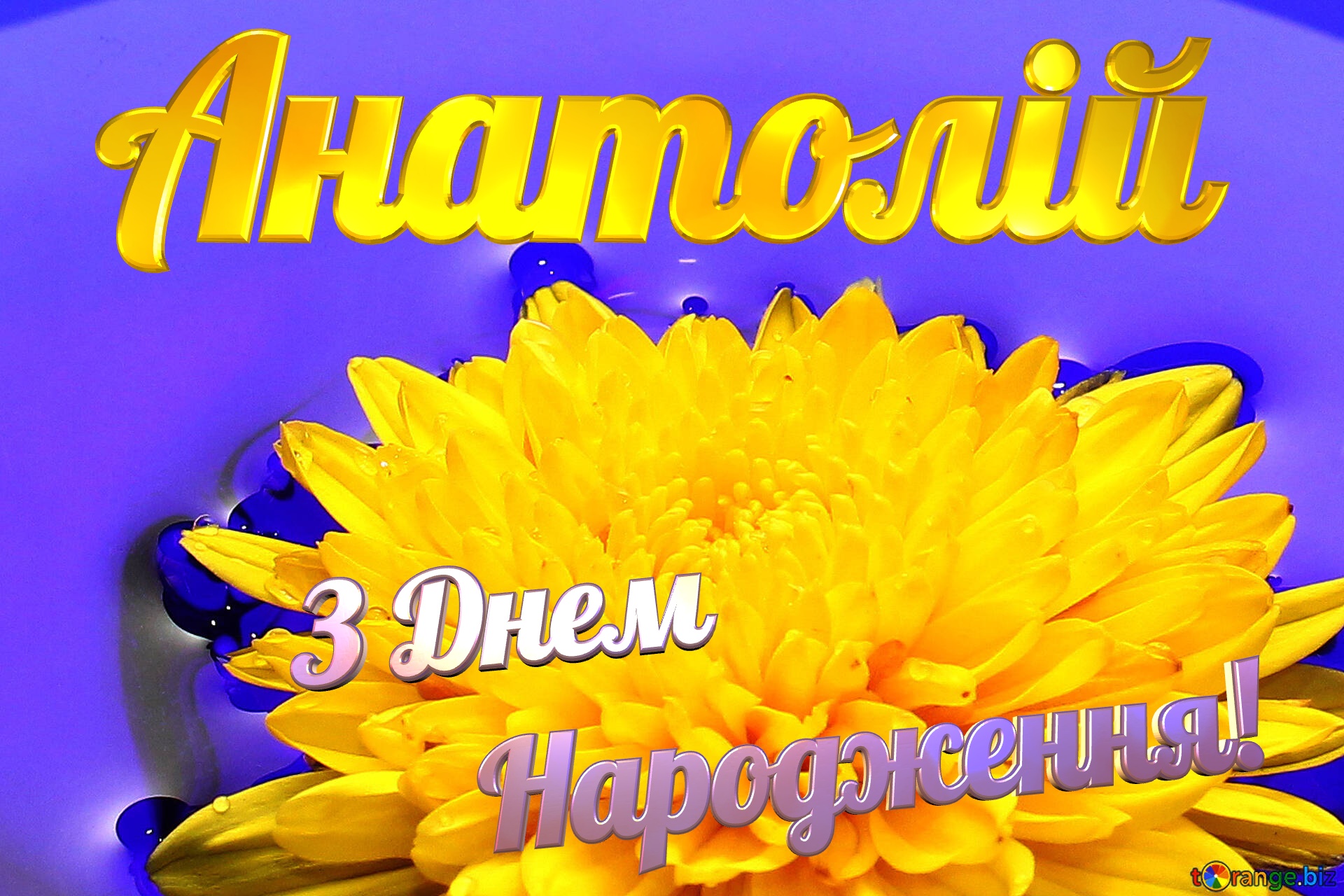 Анатолій З Днем  Народження! Ukrainian flower №37279