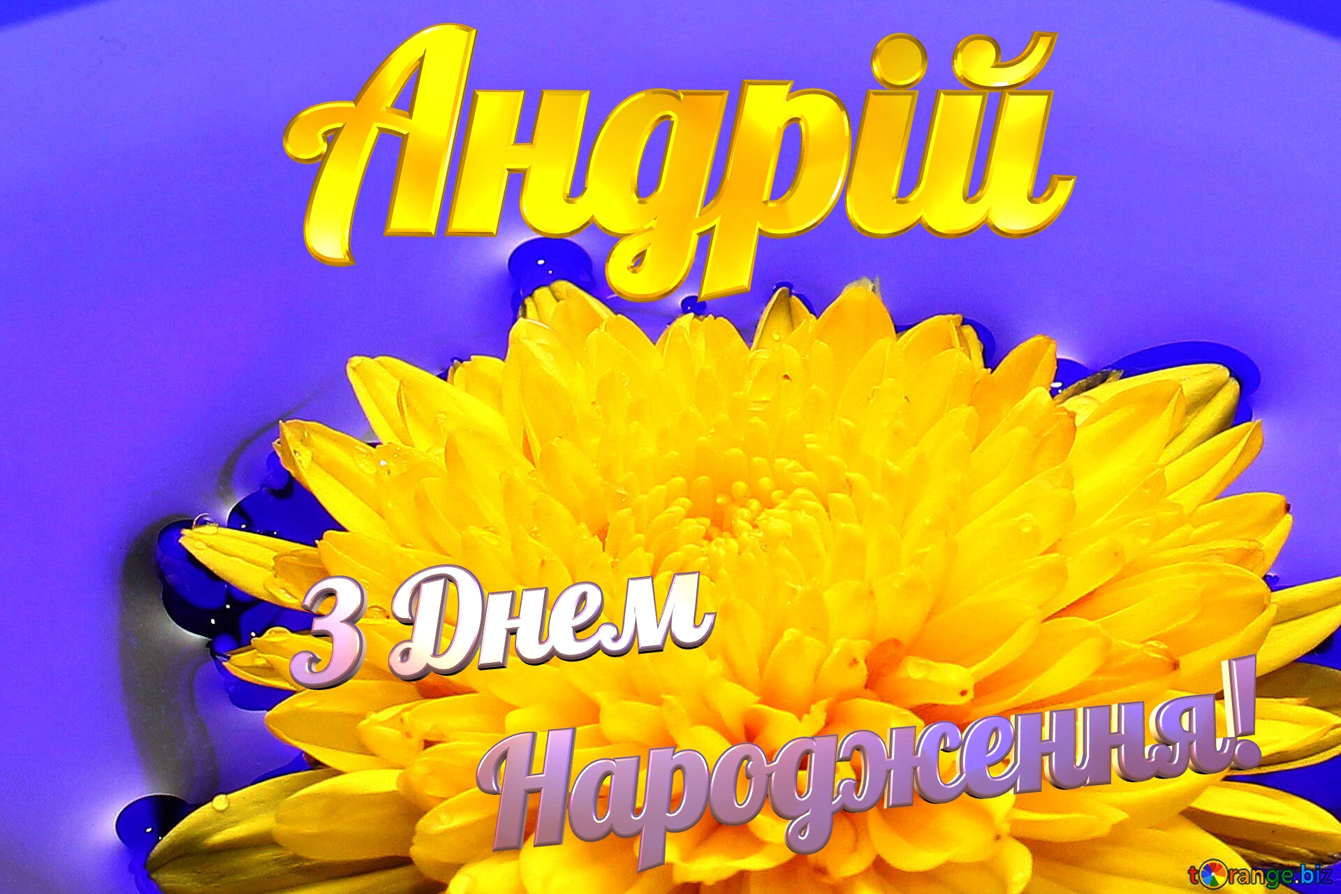 Андрій З Днем  Народження! Ukrainian flower №37279