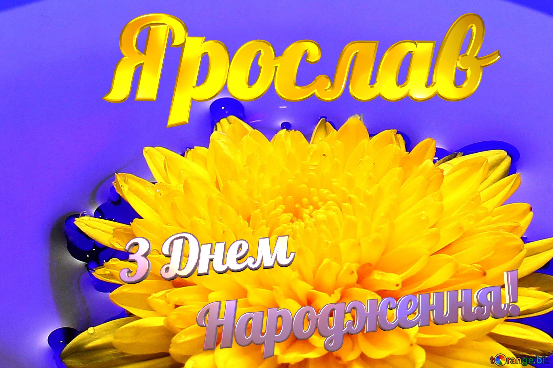 Ярослав З Днем  Народження! Ukrainian flower №37279