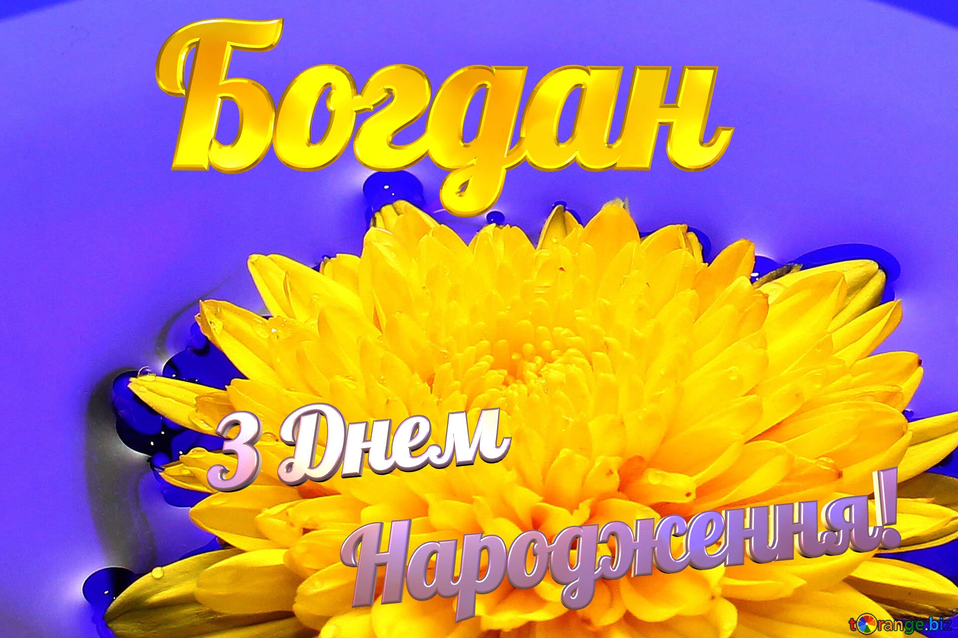 Богдан З Днем  Народження! Ukrainian flower №37279