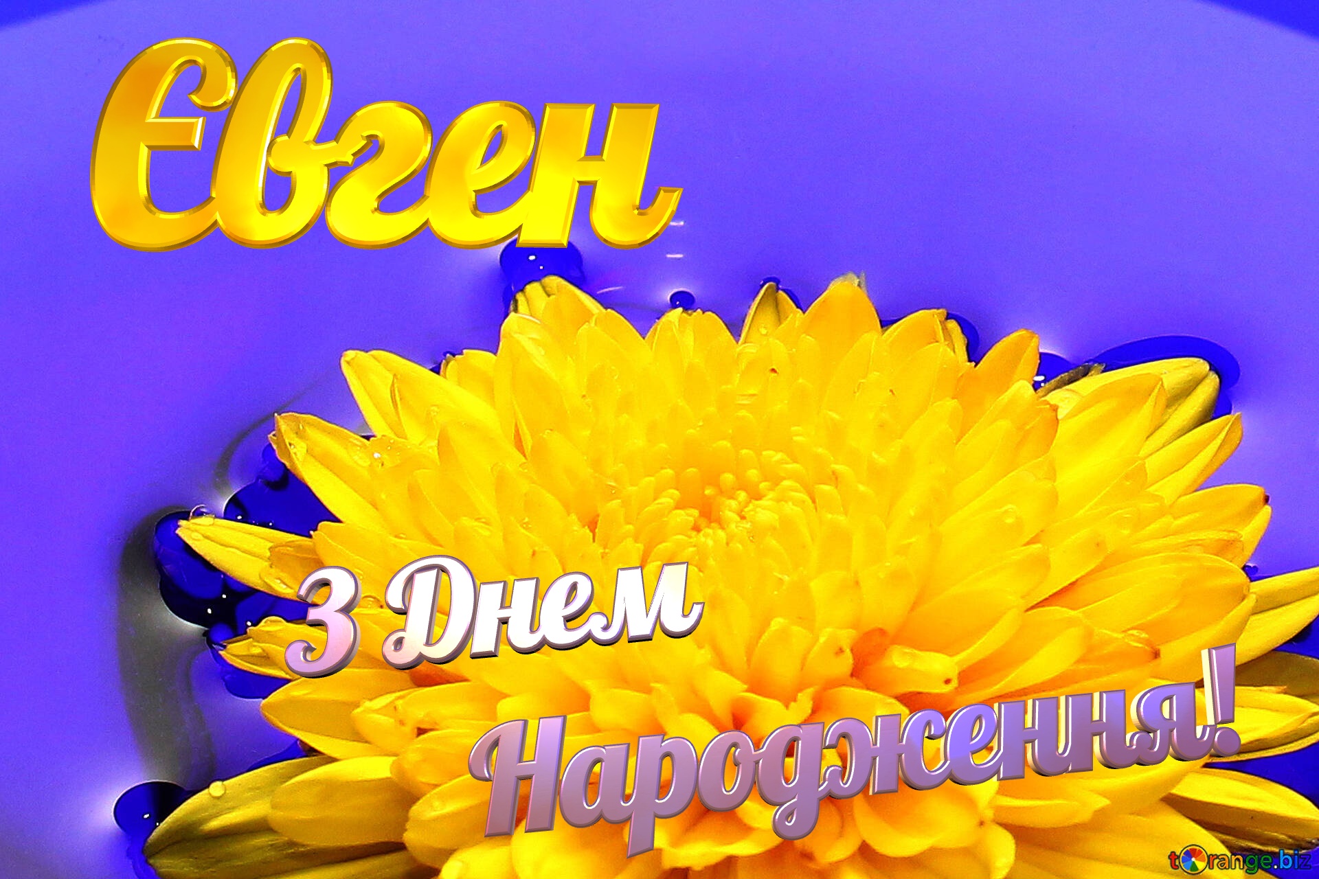 ЄвгенЗ Днем  Народження! Ukrainian flower №37279