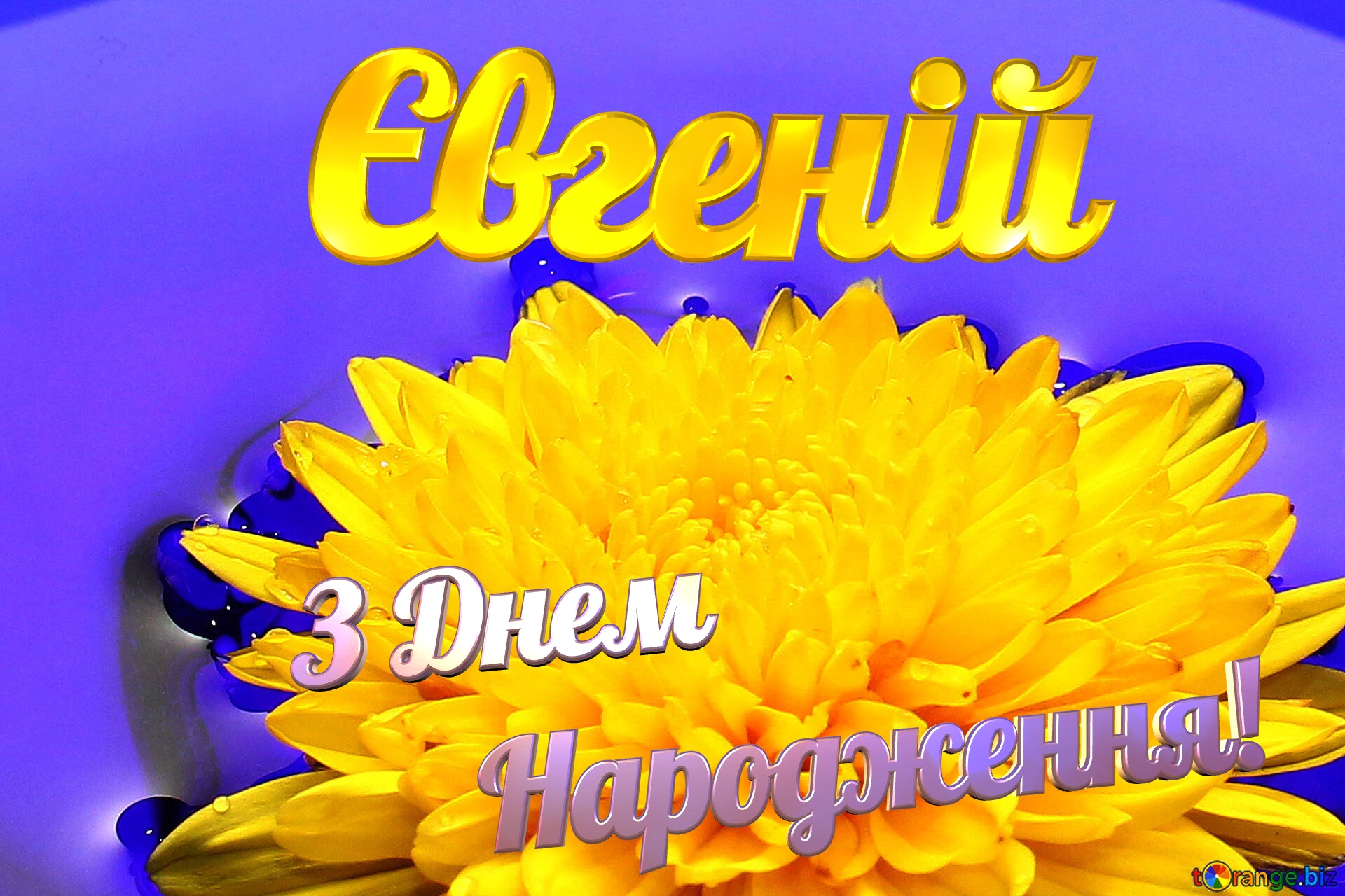 Євгеній З Днем Народження! Ukrainian flower №37279