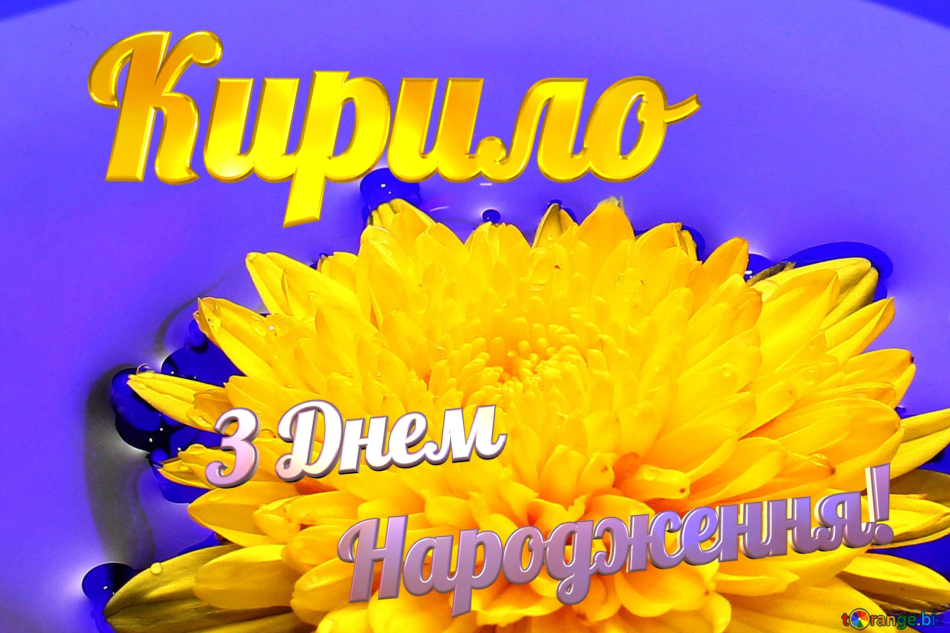 Кирило З Днем  Народження! Ukrainian flower №37279