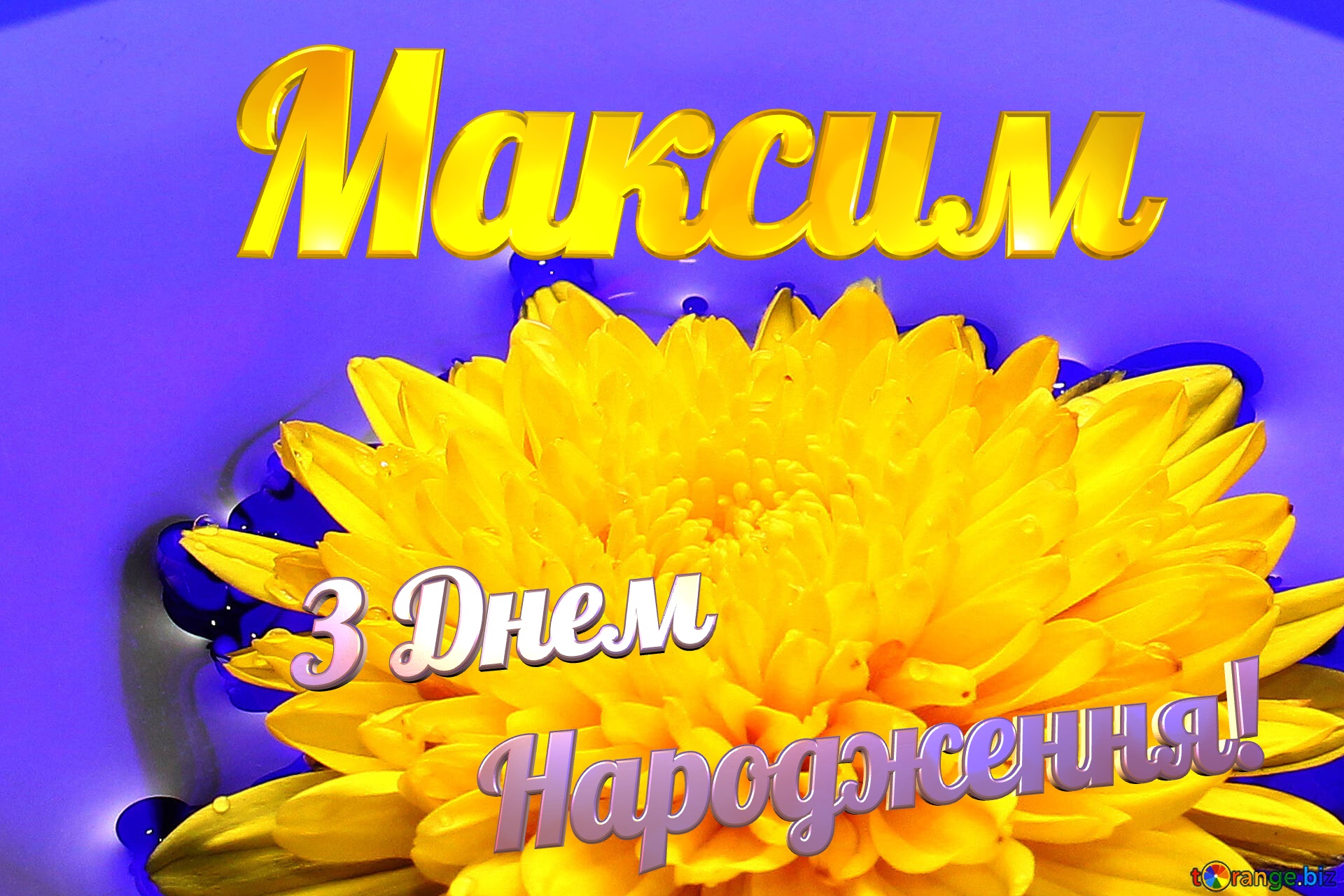 Максим З Днем  Народження! Ukrainian flower №37279