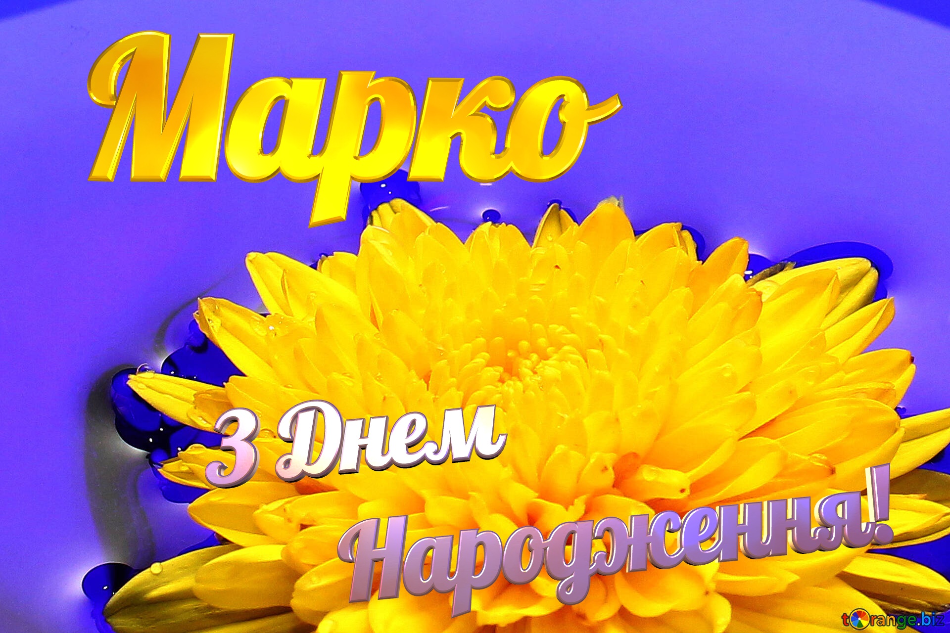 Марко З Днем  Народження! Ukrainian flower №37279