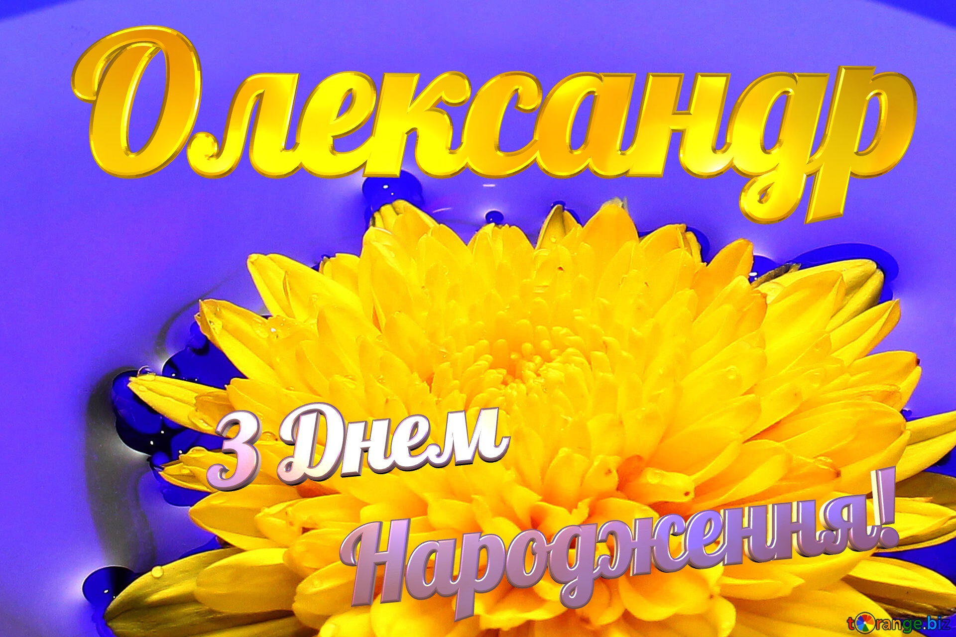 Олександр З Днем  Народження! Ukrainian flower №37279
