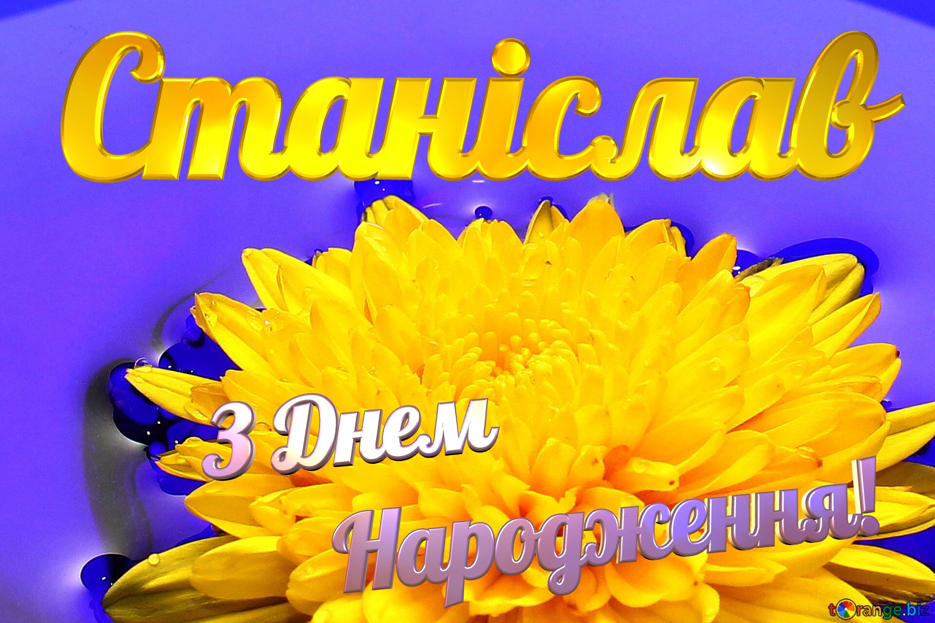 Станіслав З Днем  Народження! Ukrainian flower №37279
