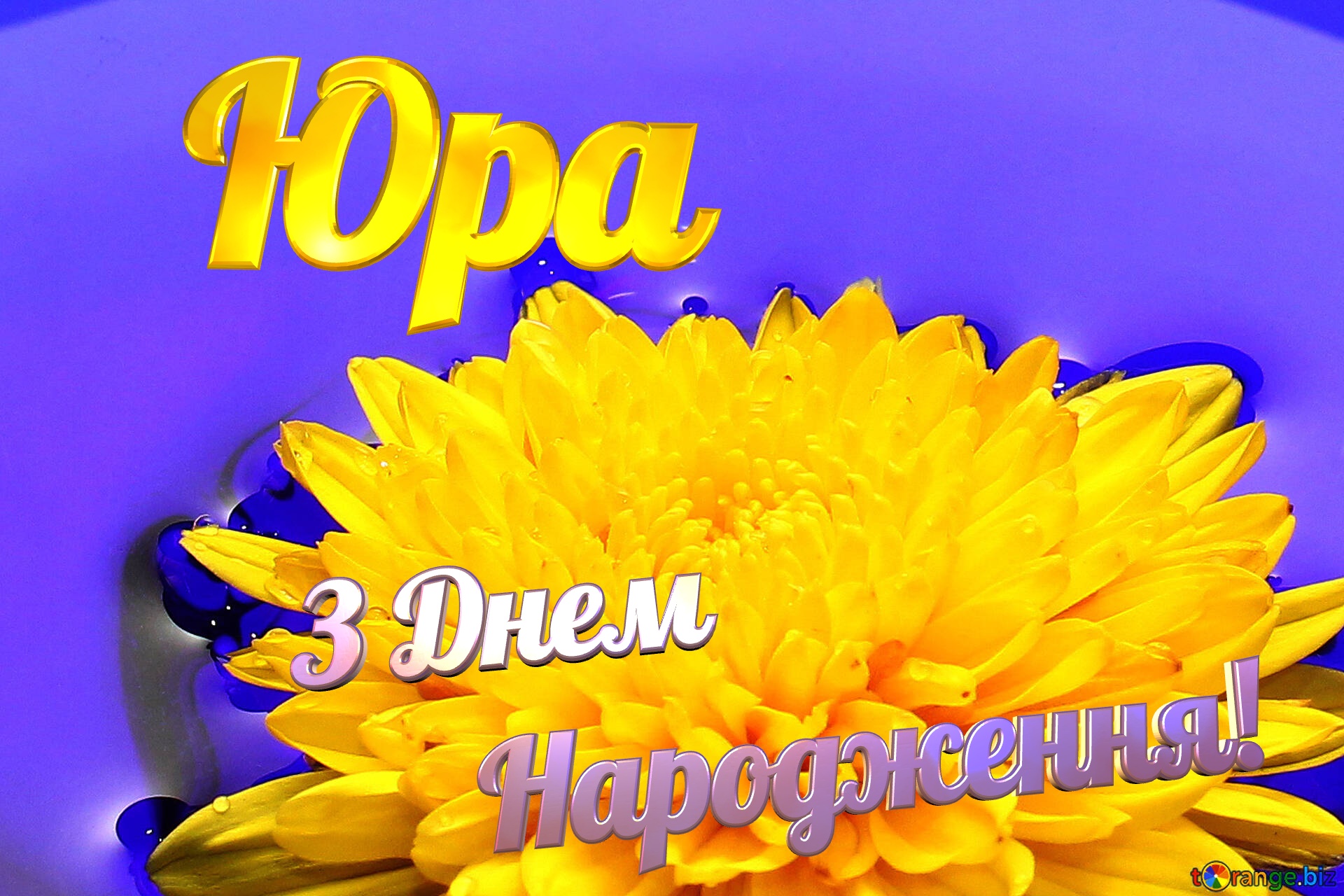 Юра З Днем  Народження! Ukrainian flower №37279