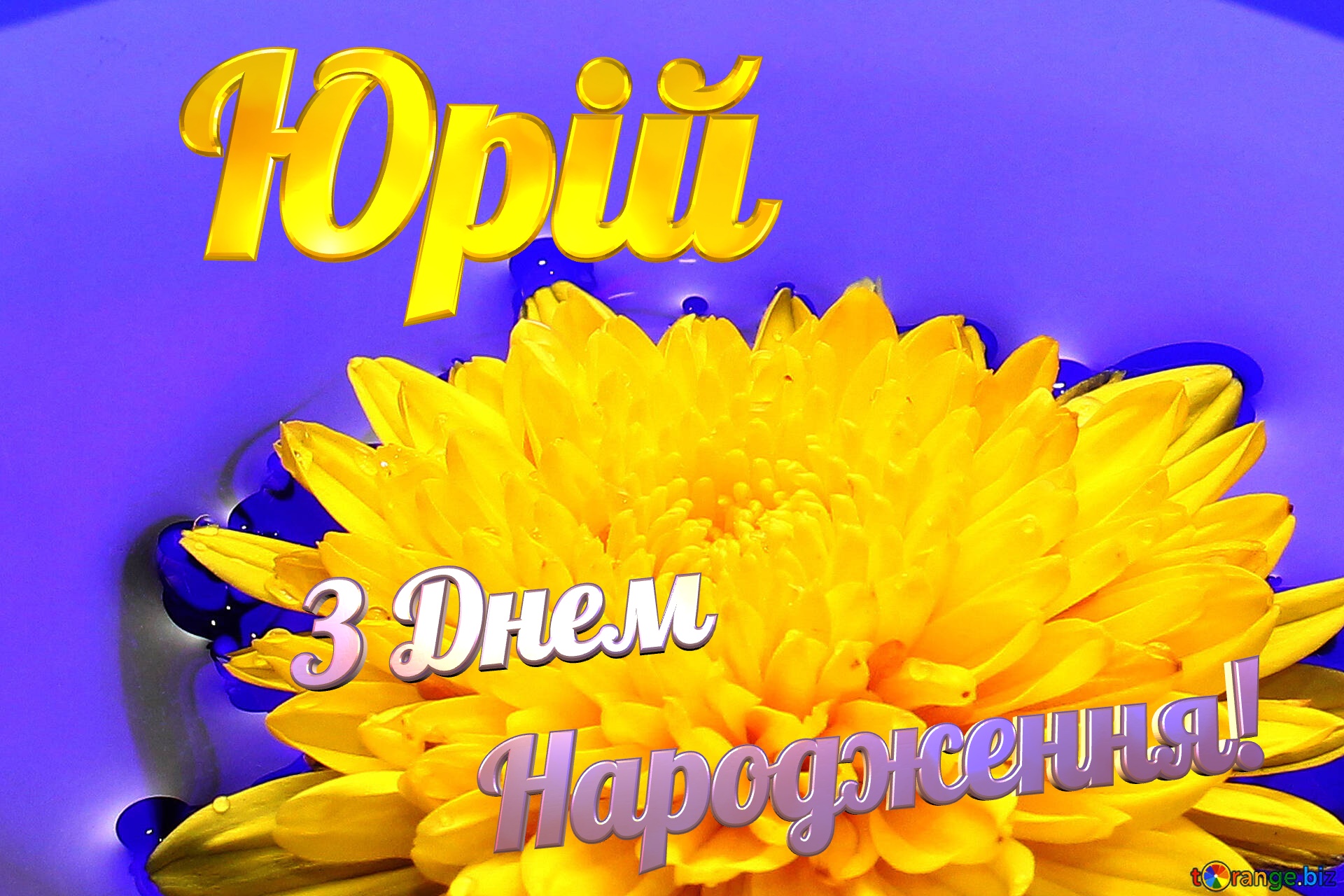 Юрій З Днем  Народження! Ukrainian flower №37279