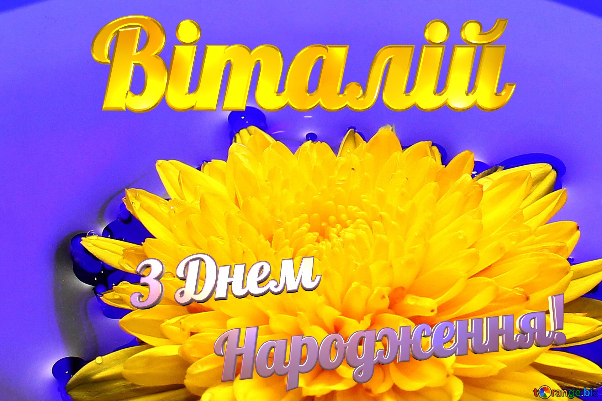 Віталій З Днем  Народження! Ukrainian flower №37279