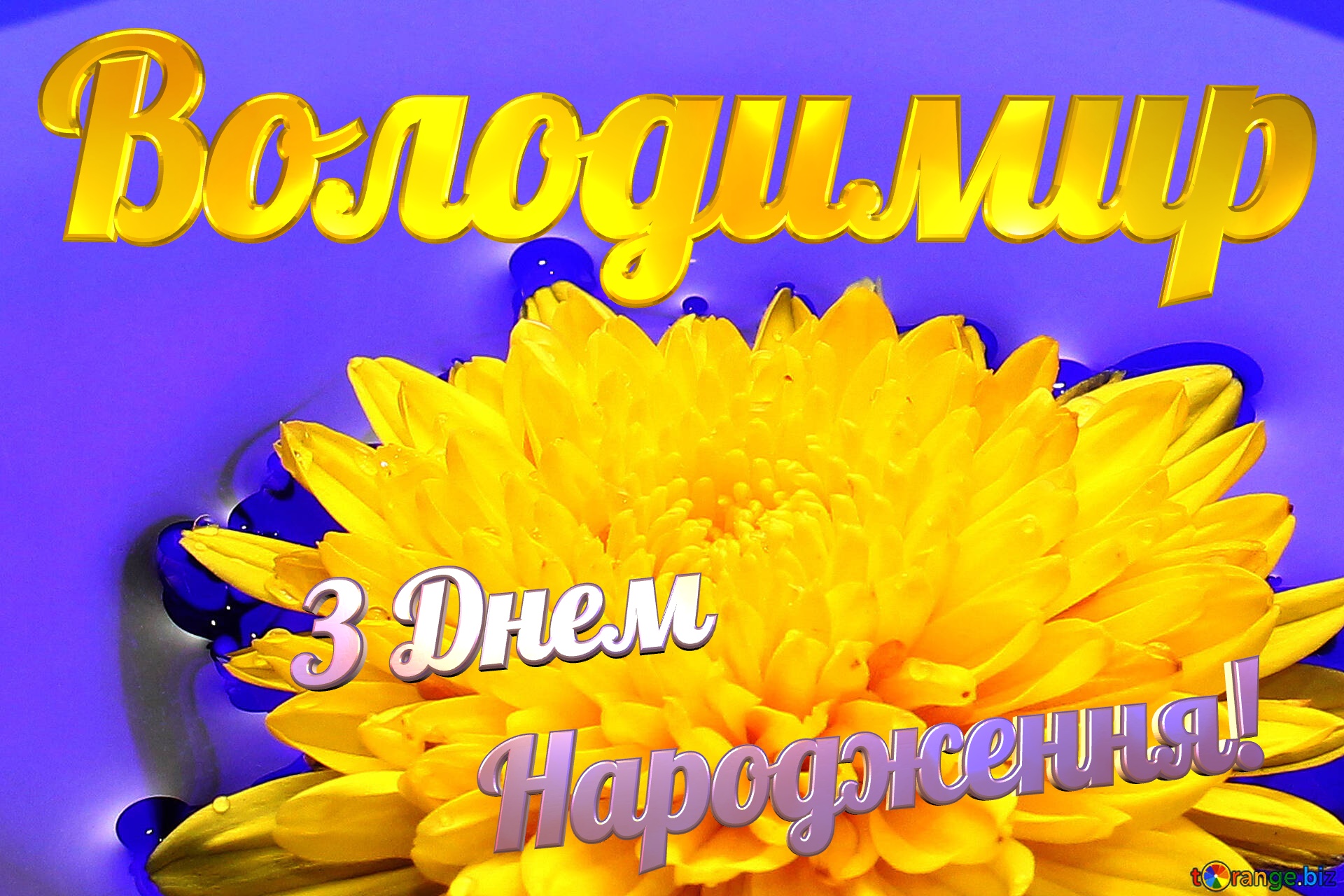 Володимир З Днем  Народження! Ukrainian flower №37279