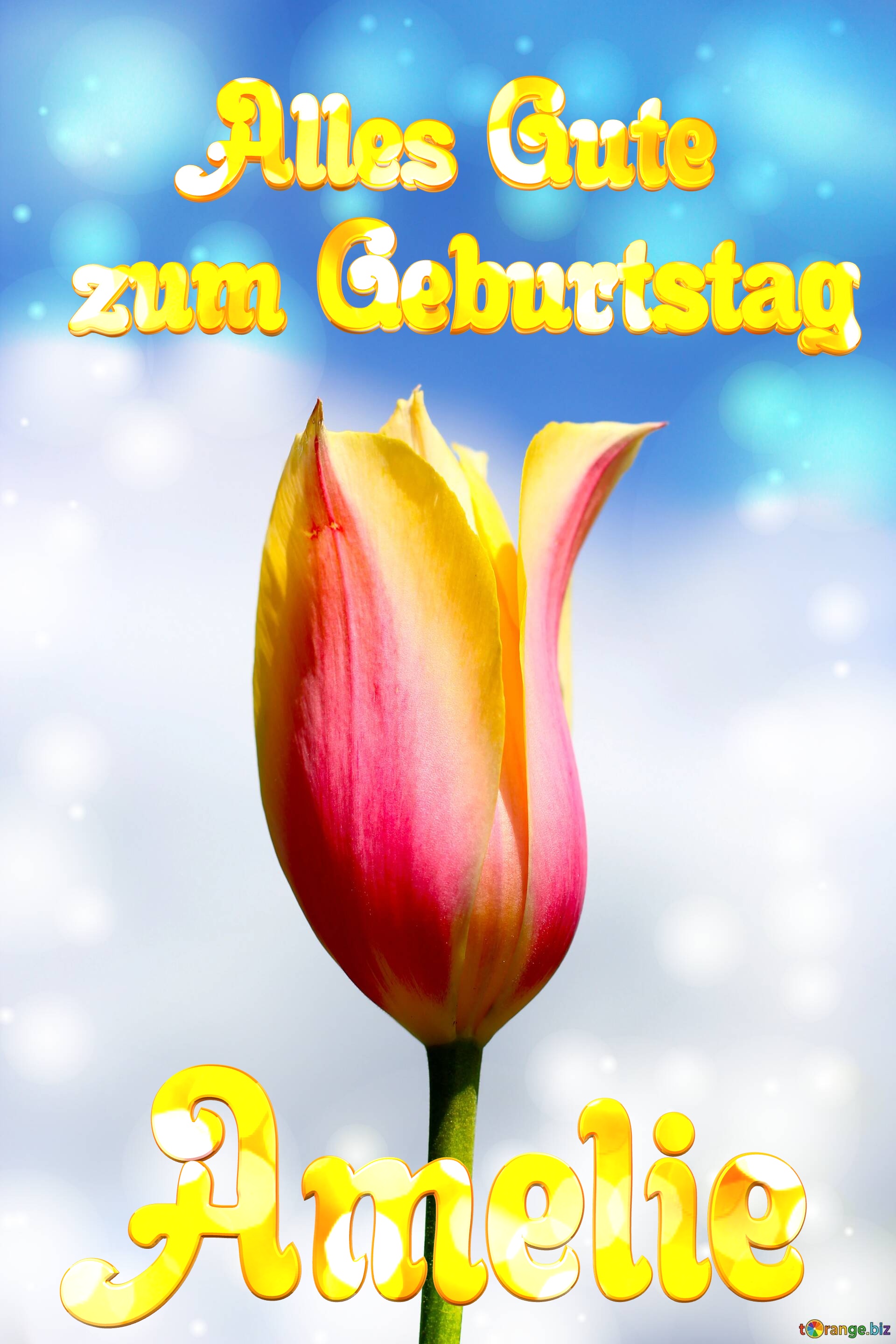 Amelie Alles Gute  zum Geburtstag Blume der Tulpe №0