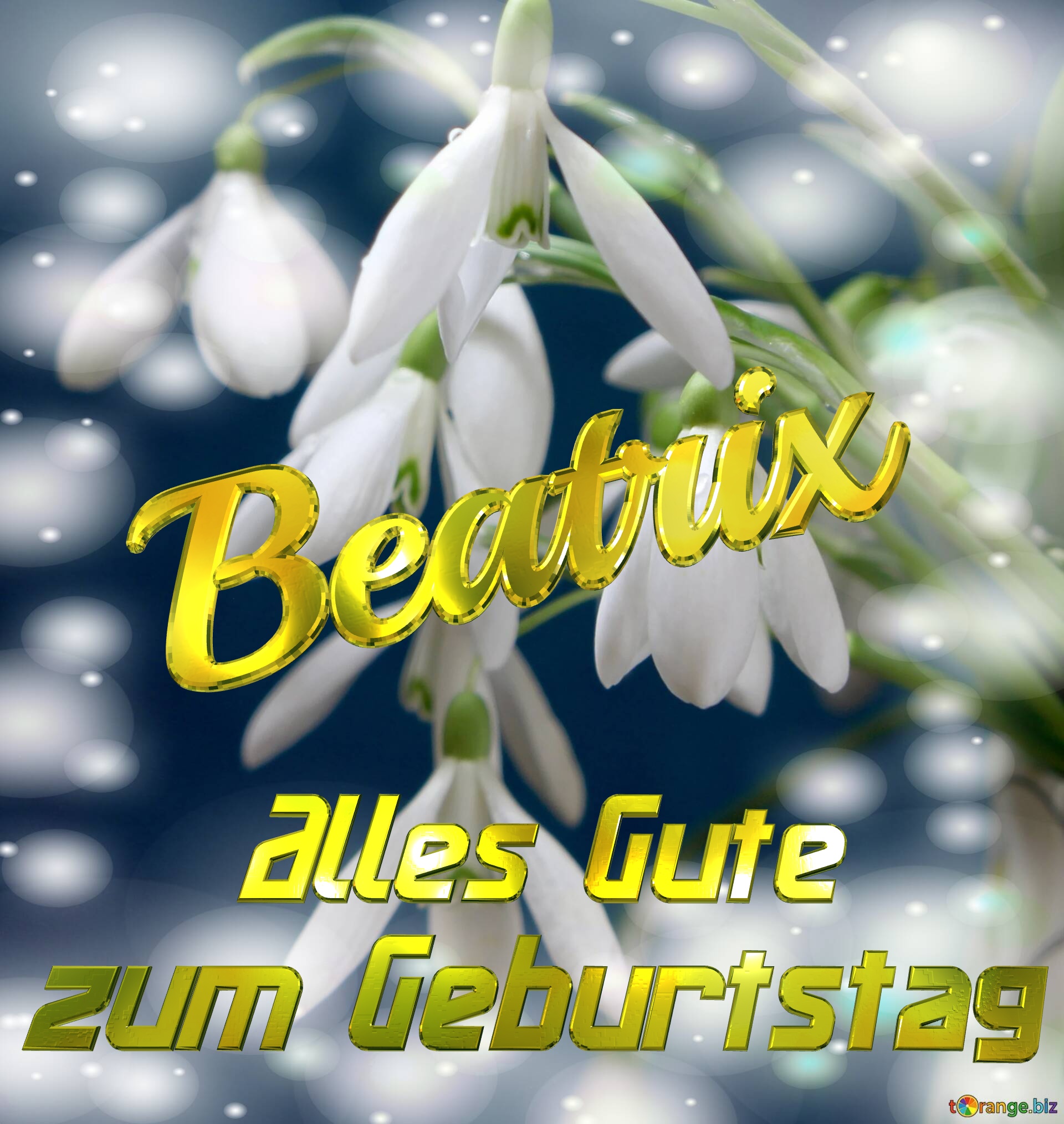 Beatrix Alles Gute  zum Geburtstag Blumenstrauß von Frühlingsblumen №0