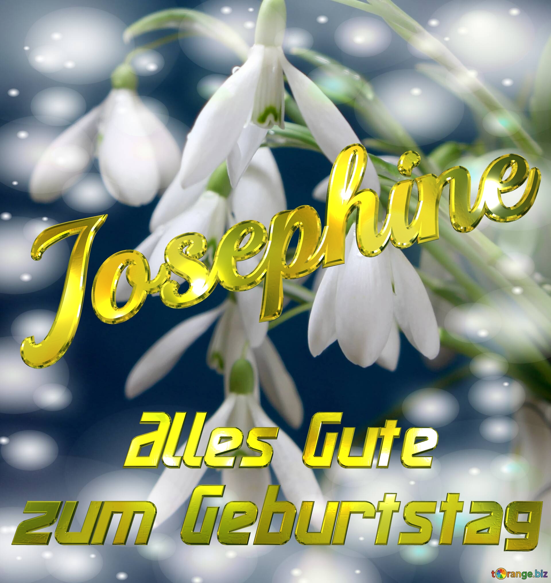 Josephine Alles Gute  zum Geburtstag Blumenstrauß von Frühlingsblumen №0