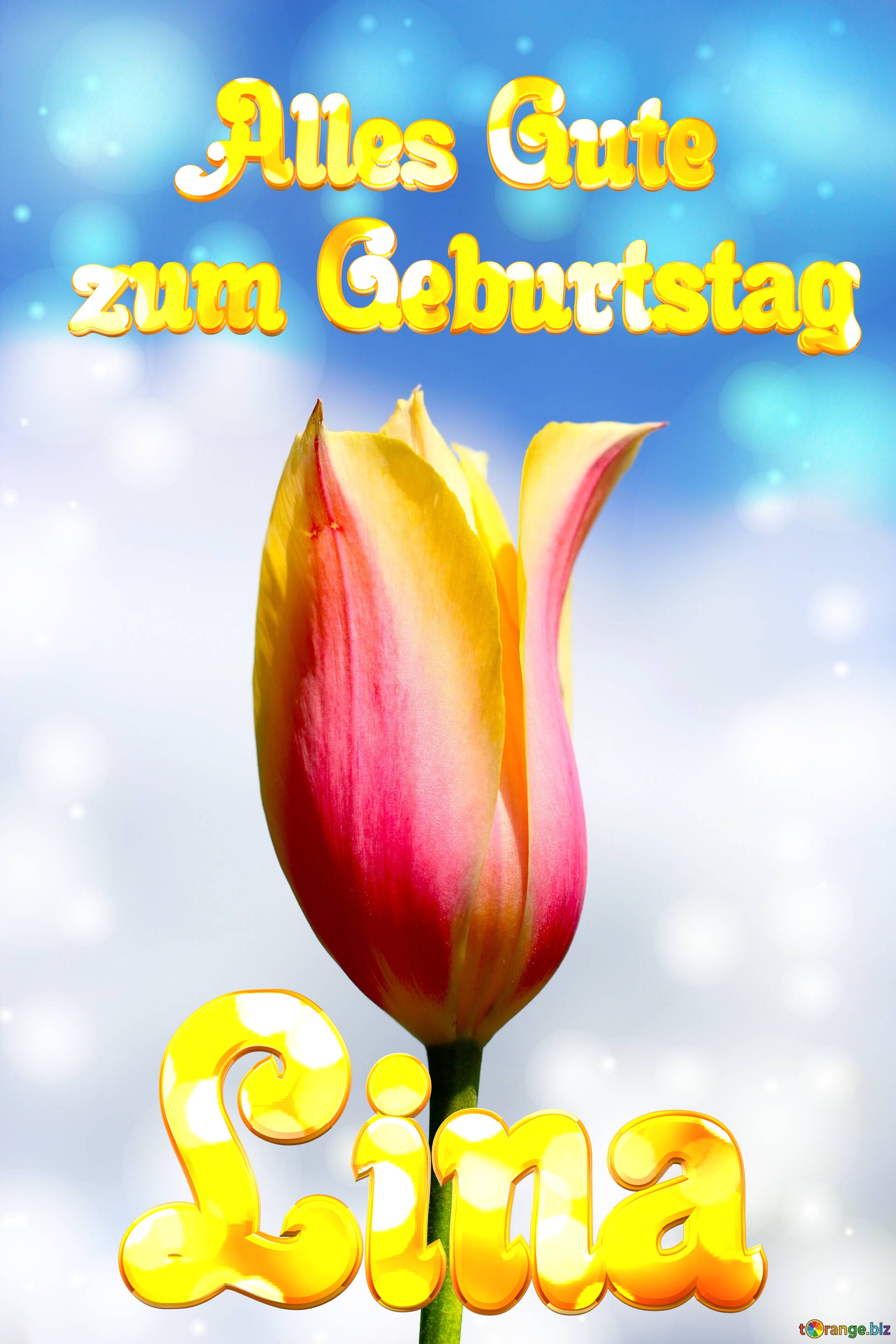 Geburtstag Lina Blume der Tulpe №0
