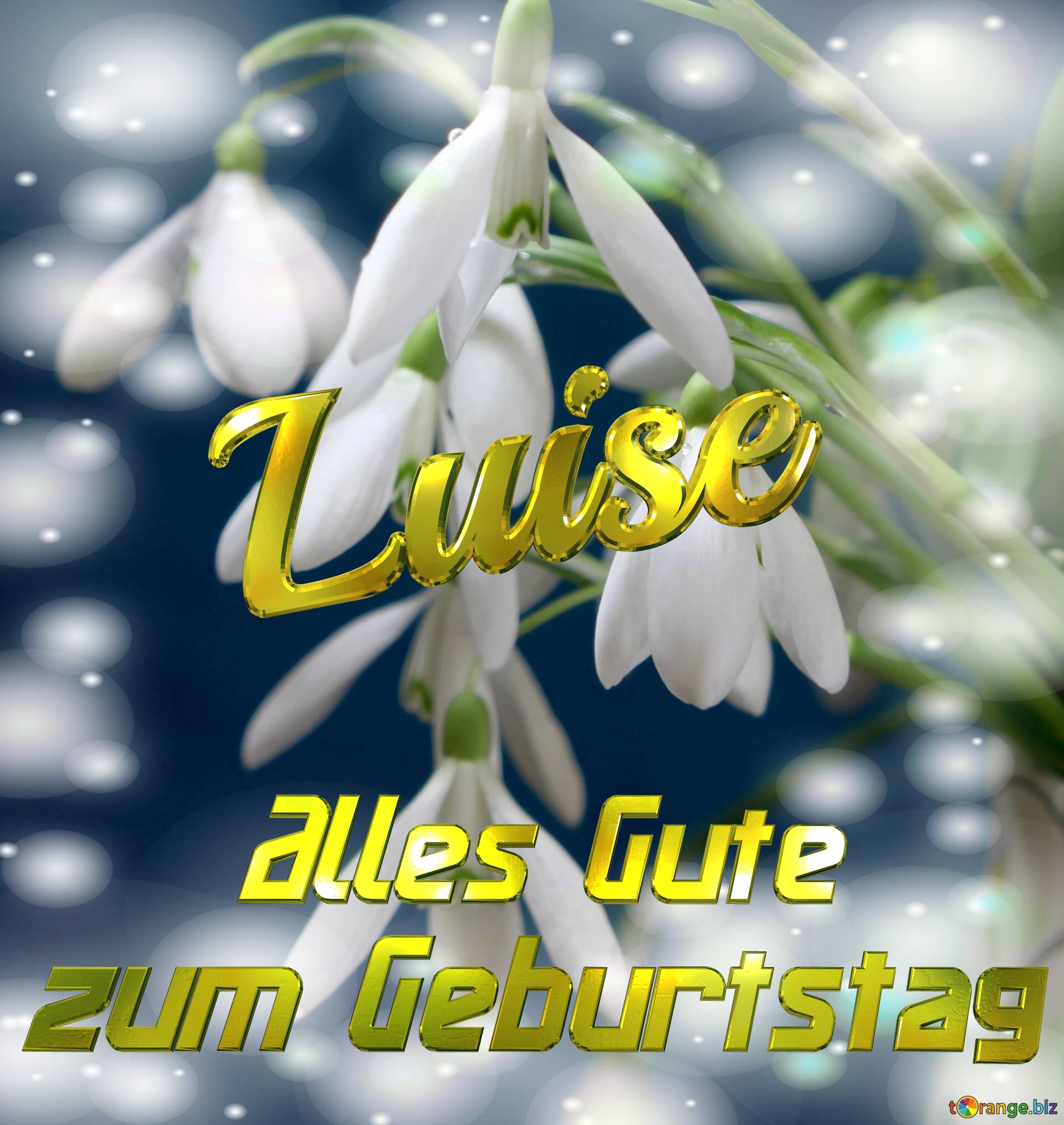 Luise Alles Gute  zum Geburtstag Blumenstrauß von Frühlingsblumen №0