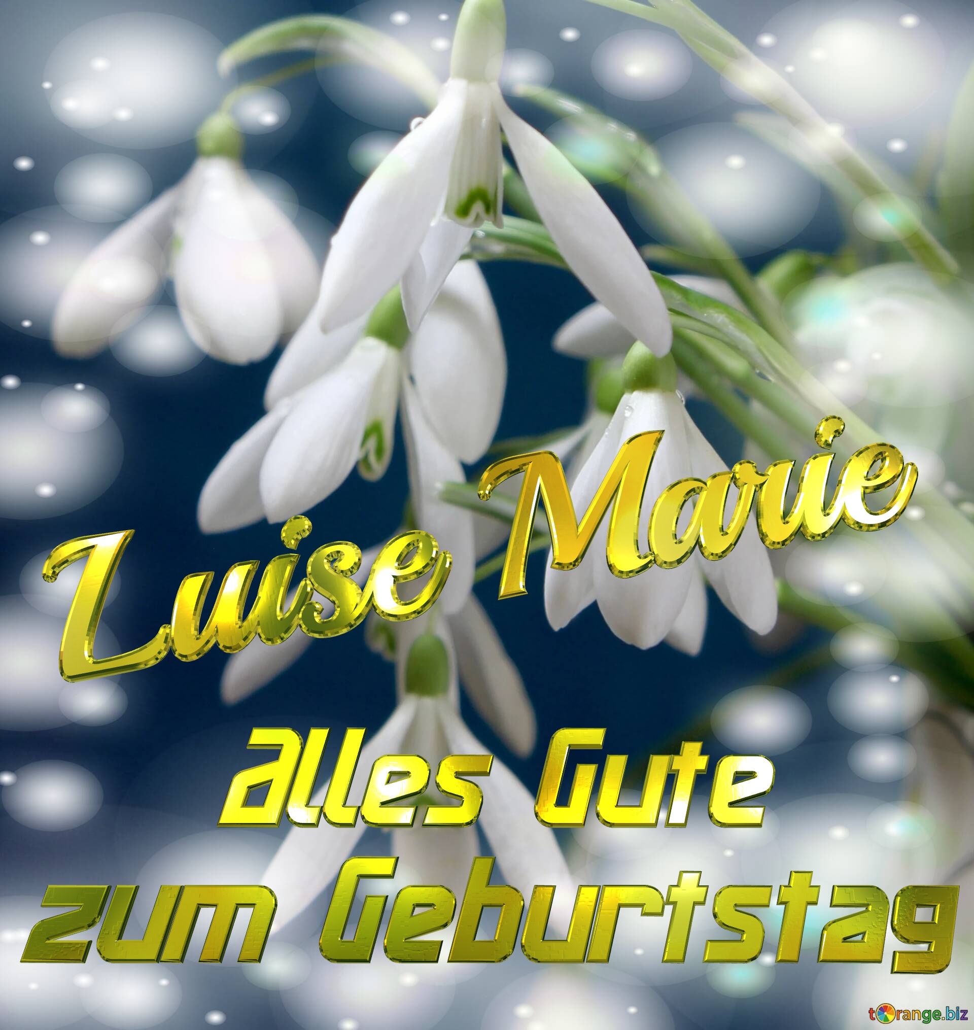 Luise Marie Alles Gute  zum Geburtstag Blumenstrauß von Frühlingsblumen №0