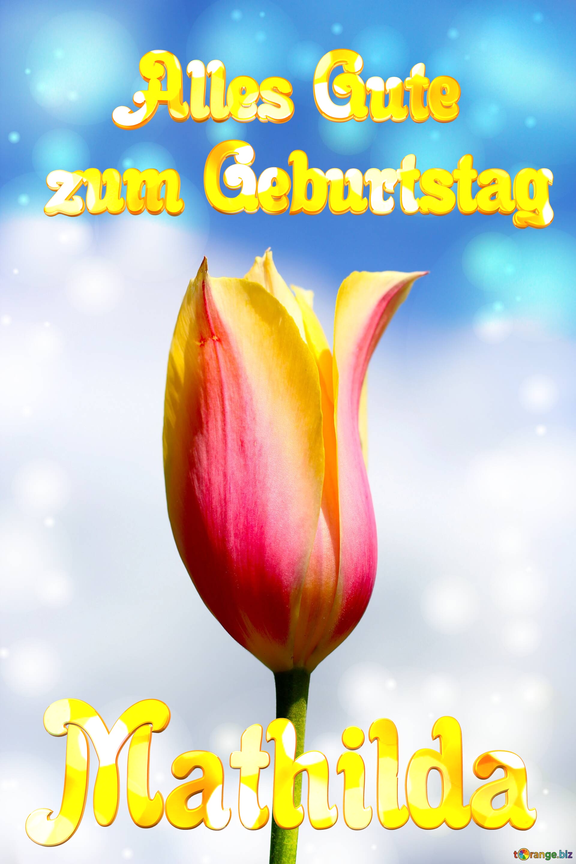 Mathilda Alles Gute  zum Geburtstag Blume der Tulpe №0