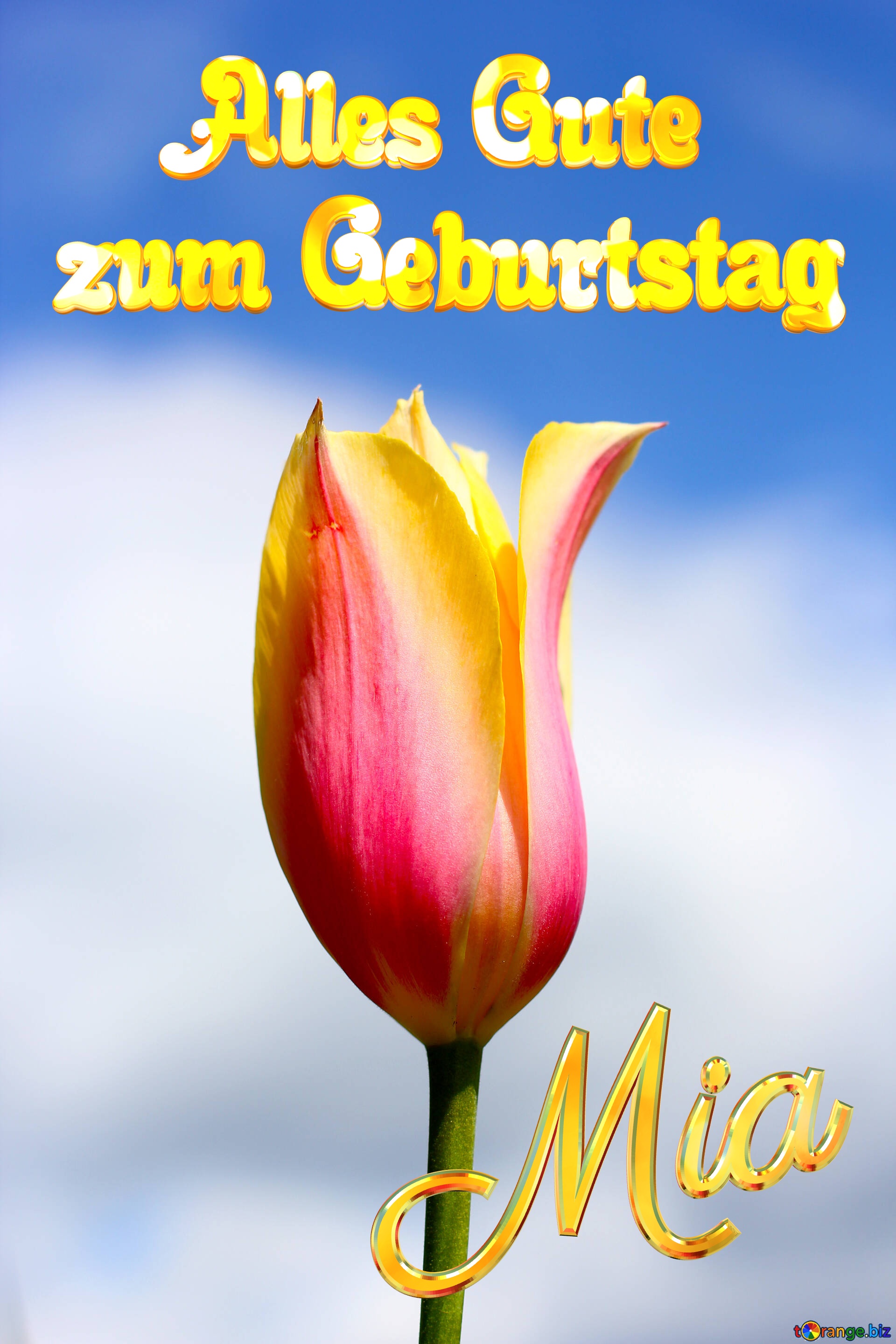 Geburtstag Mia Flower of Tulip №37707