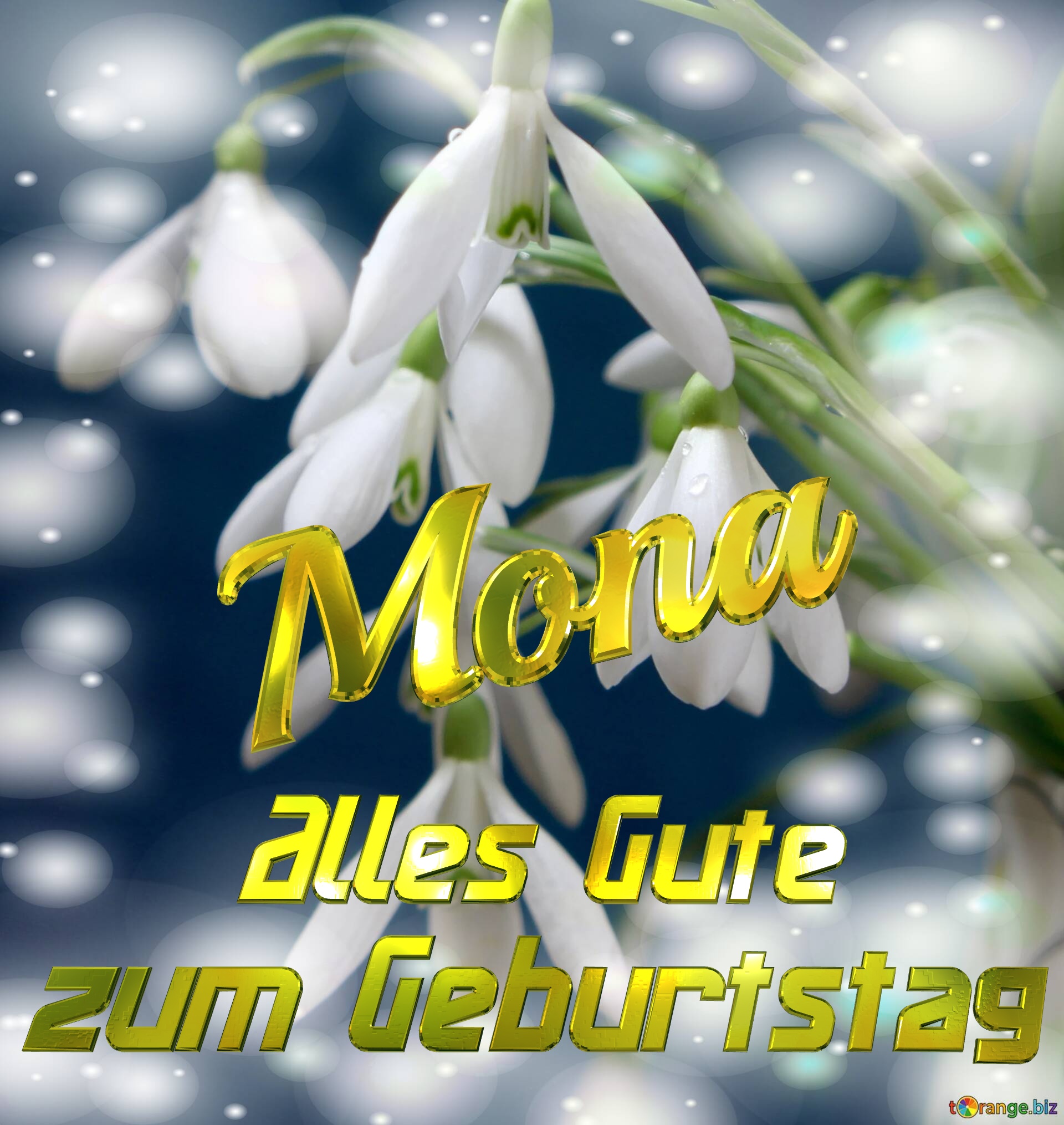 Mona Alles Gute  zum Geburtstag Blumenstrauß von Frühlingsblumen №0