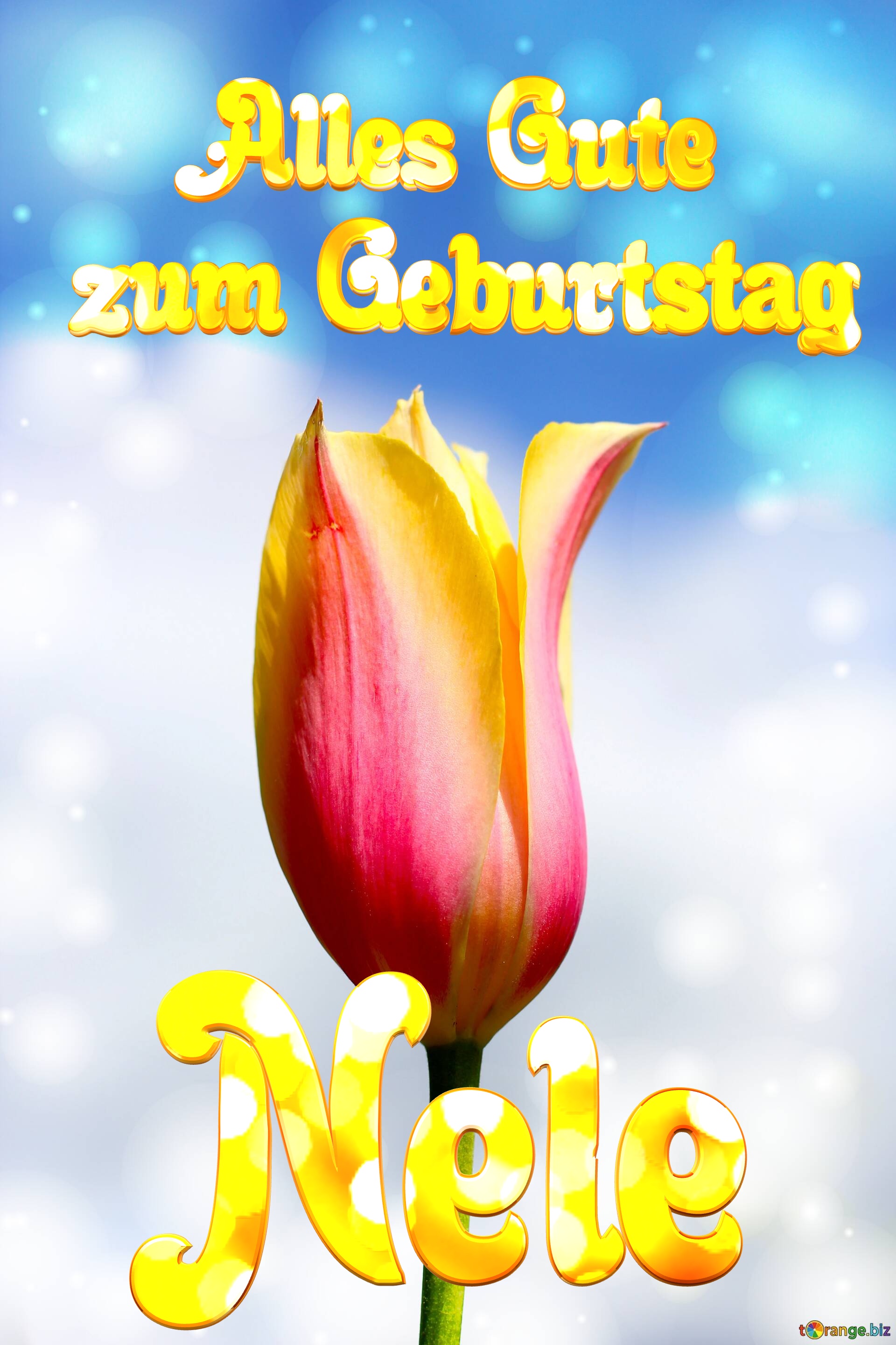 Nele Alles Gute  zum Geburtstag Blume der Tulpe №0