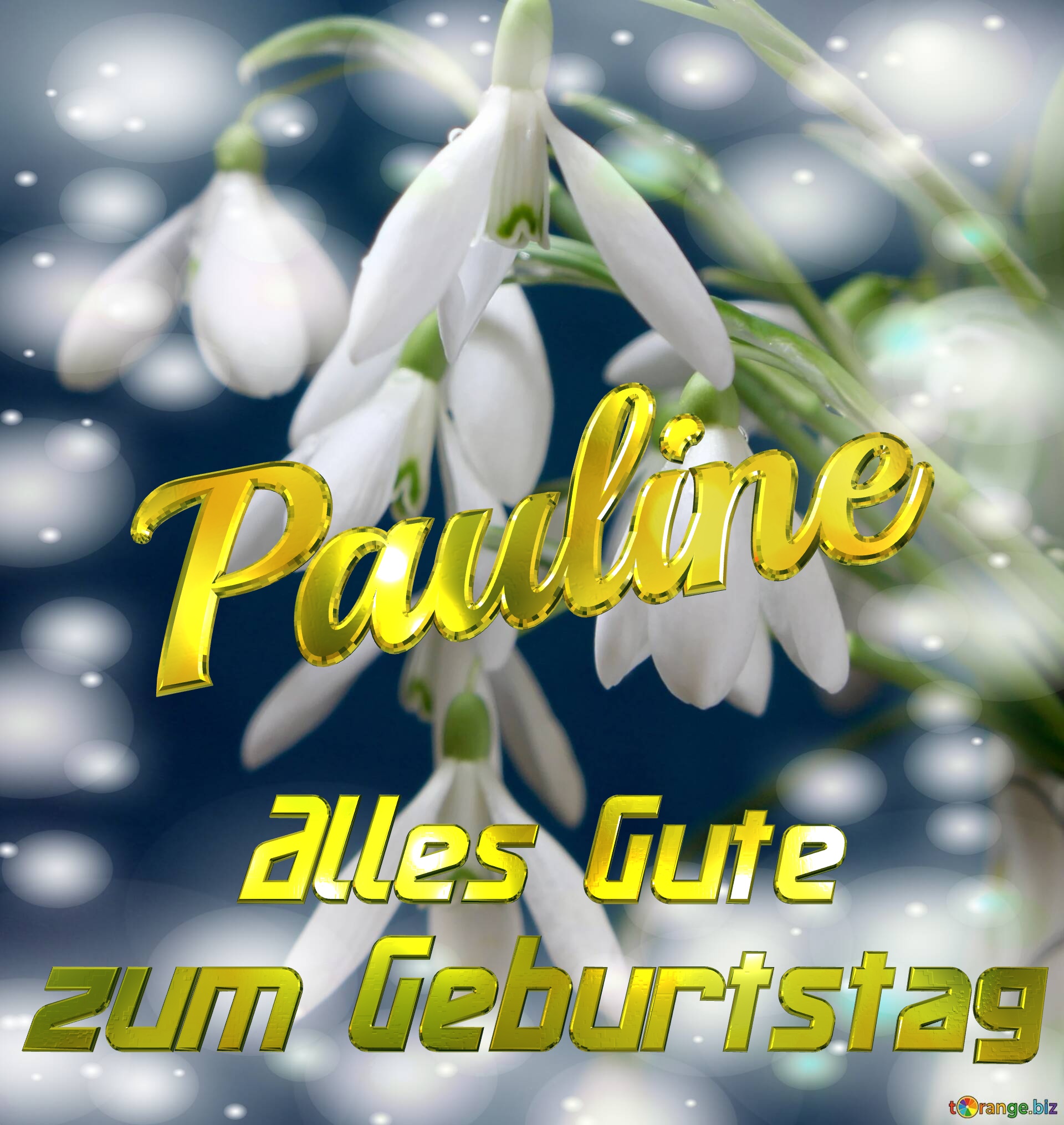 Pauline Alles Gute  zum Geburtstag Blumenstrauß von Frühlingsblumen №0